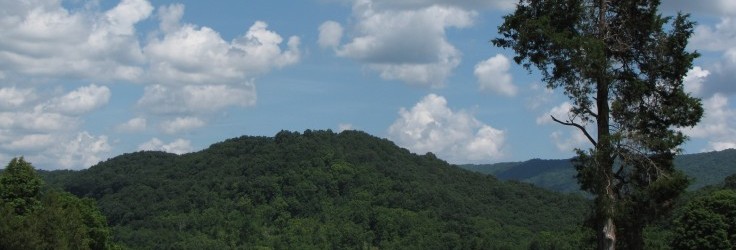 Scenic View in Bland County